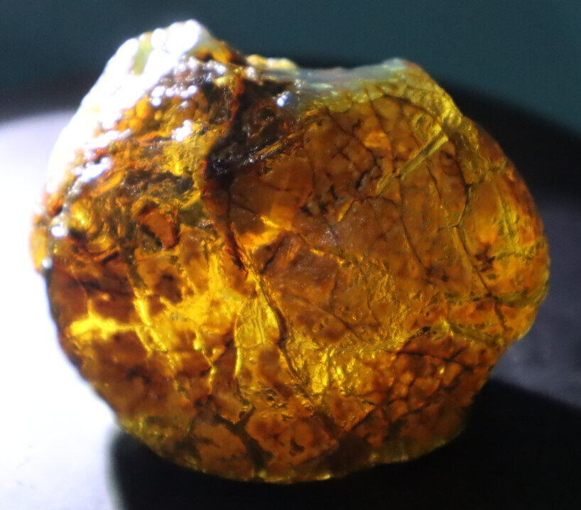Charming Design Nat. Dominican Clear Blue Green Amber Rough Specimen 61mm 46.5g – photo 14