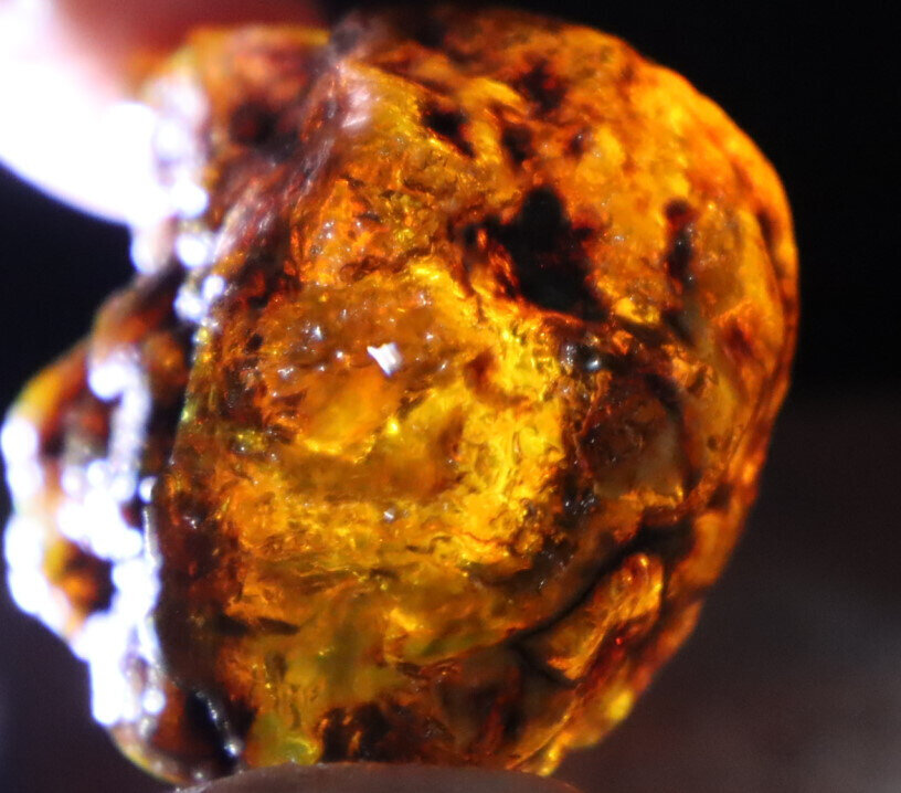 Charming Natural Dominican Clear Cognac Green Blue Amber Rough Specimen 37gram – photo 6