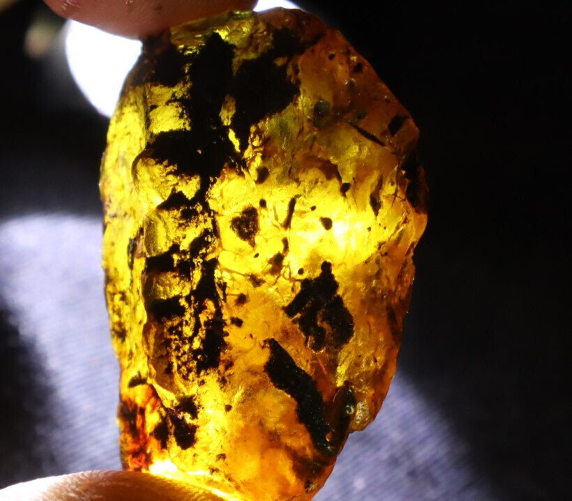 Exquisite Natural Dominican Crystal Clear Sky Blue Amber Rough Specimen 40mm 8g – photo 11
