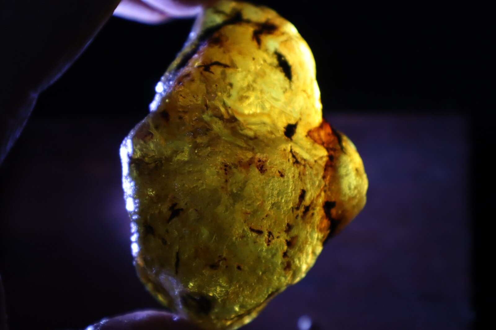 Impressive Natural Dominican Clear Light Blue Amber Rough Specimen 67mm 48.9g – photo 12