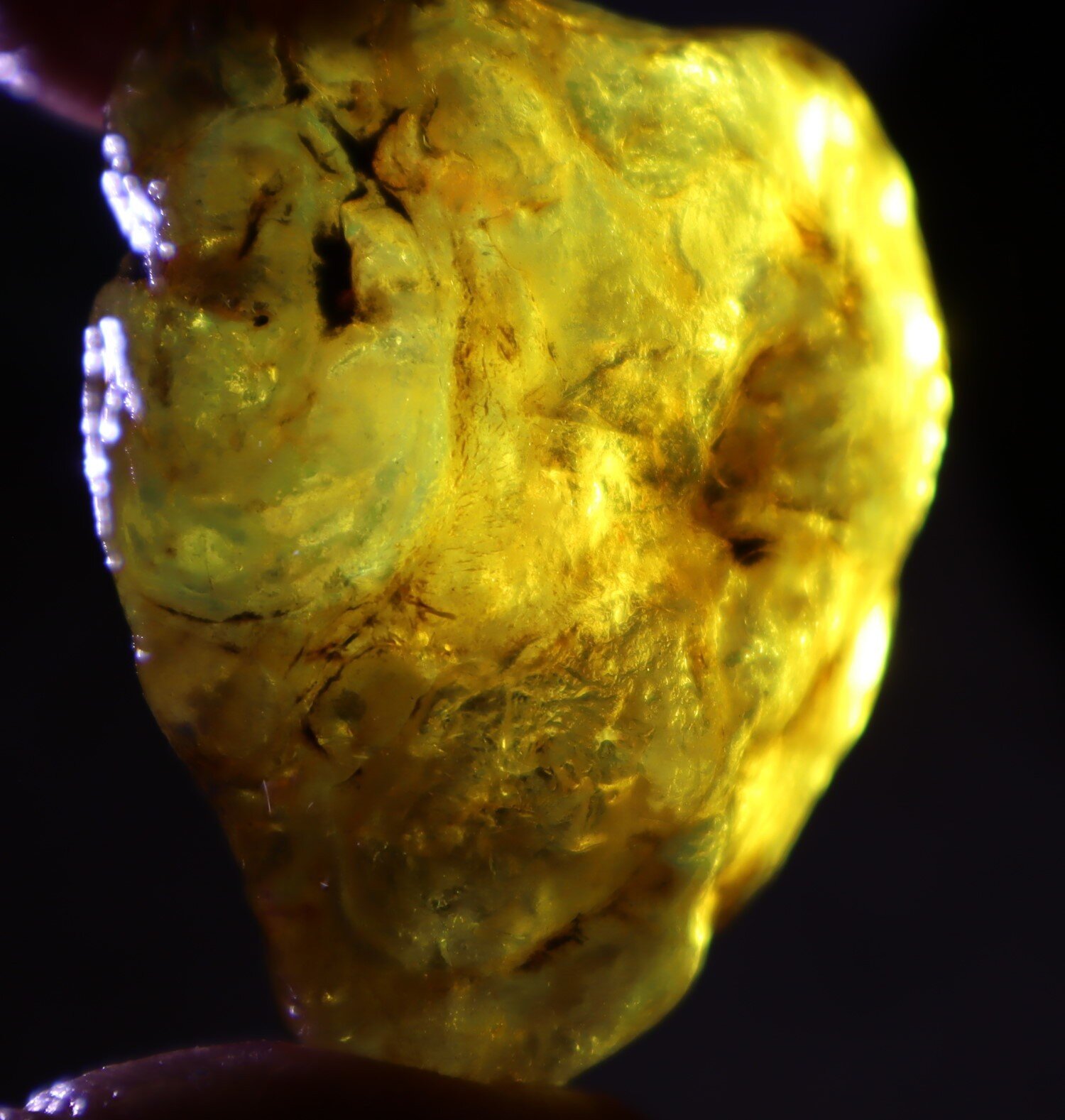 Natural Dominican Blue Amber Rough Specimen 53mm 26.2g Clear Yellow – photo 7