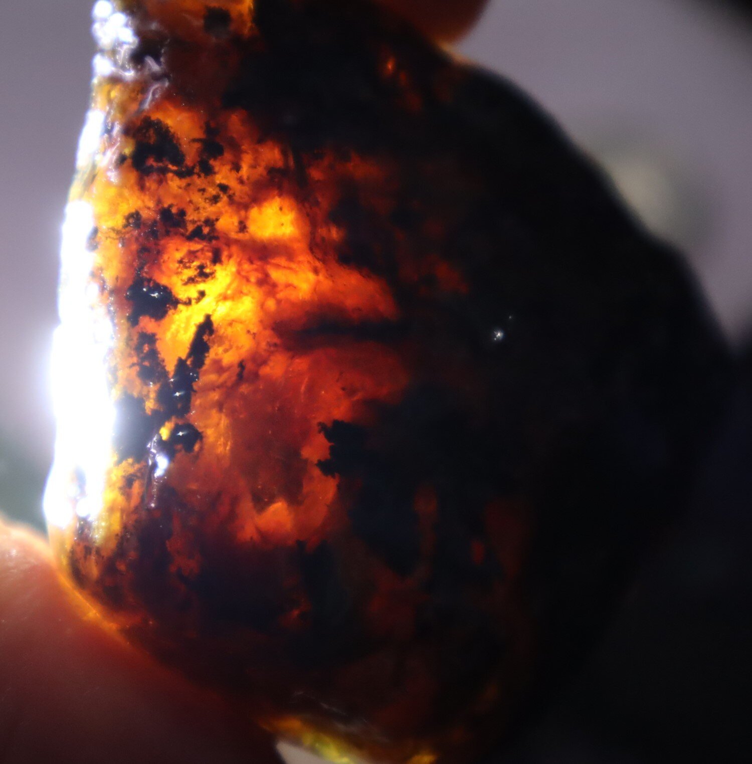 Exquisite Natural Dominican Translucent Green Blue Amber Rough Specimen 60mm 38g – photo 6