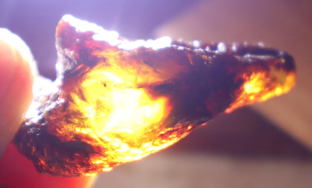 Exquisite Natural Dominican Clear Sky Blue Amber Rough Specimen 48mm 10g – photo 18