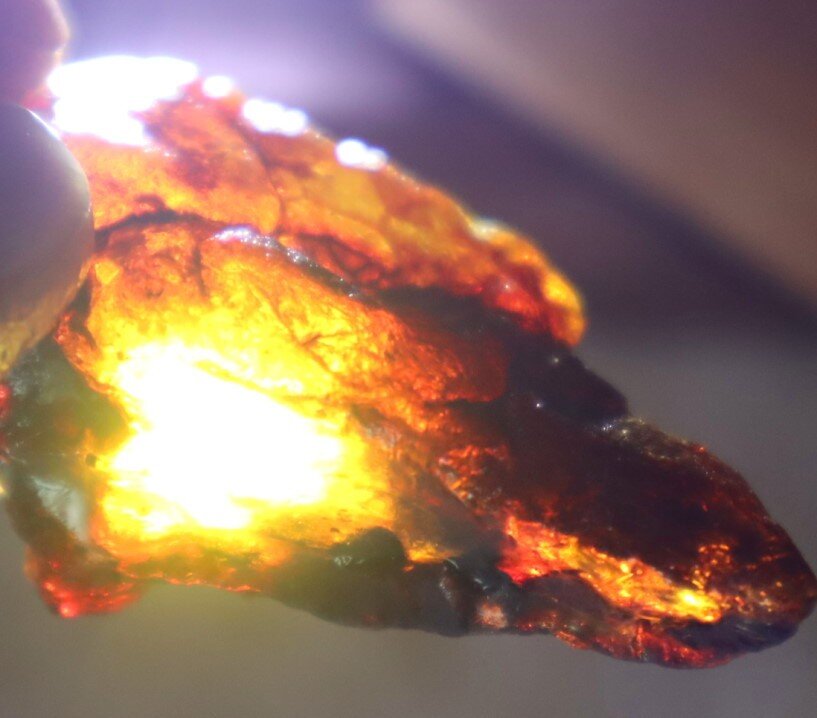 Exquisite Natural Dominican Clear Sky Blue Amber Rough Specimen 48mm 10g – photo 19