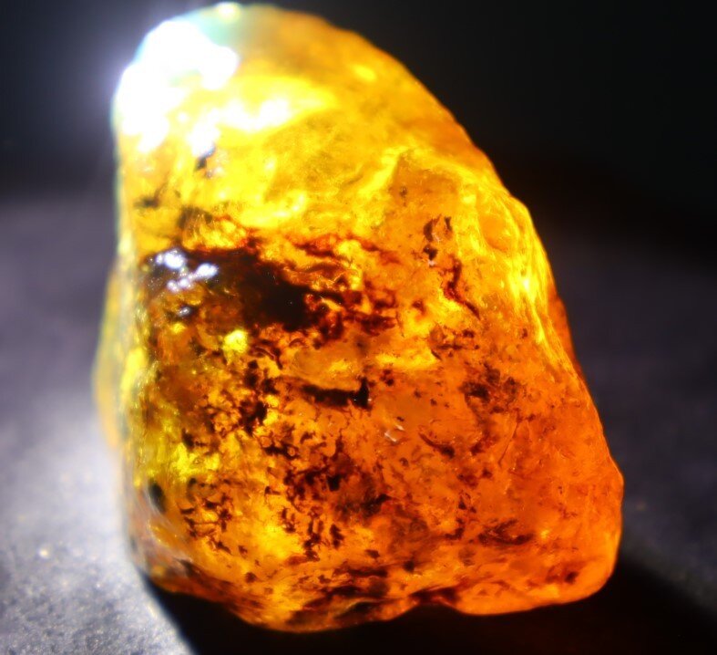 Finest Natural Dominican Clear Green Blue Amber Rough Specimen 51mm 32.5g – photo 7