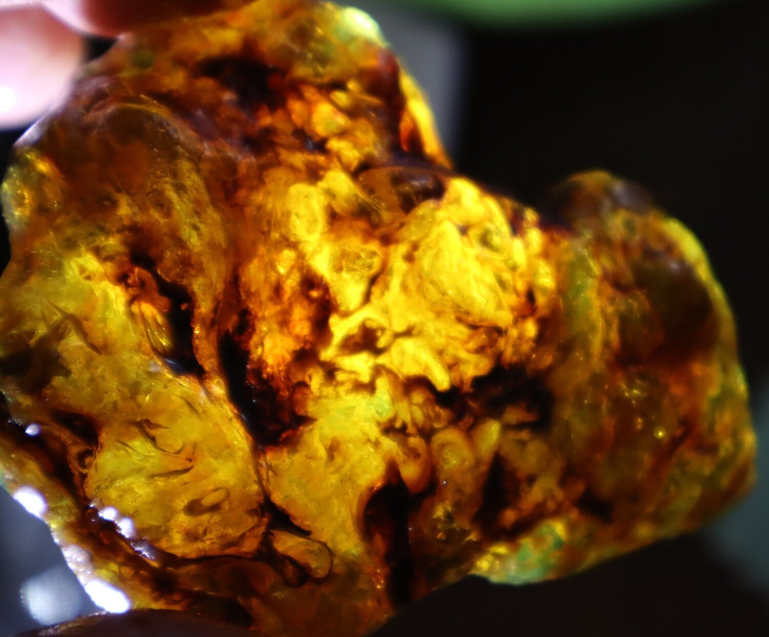 Beautiful Natural Dominican Translucent Green Blue Amber Rough Specimen 66mm 35g – photo 7
