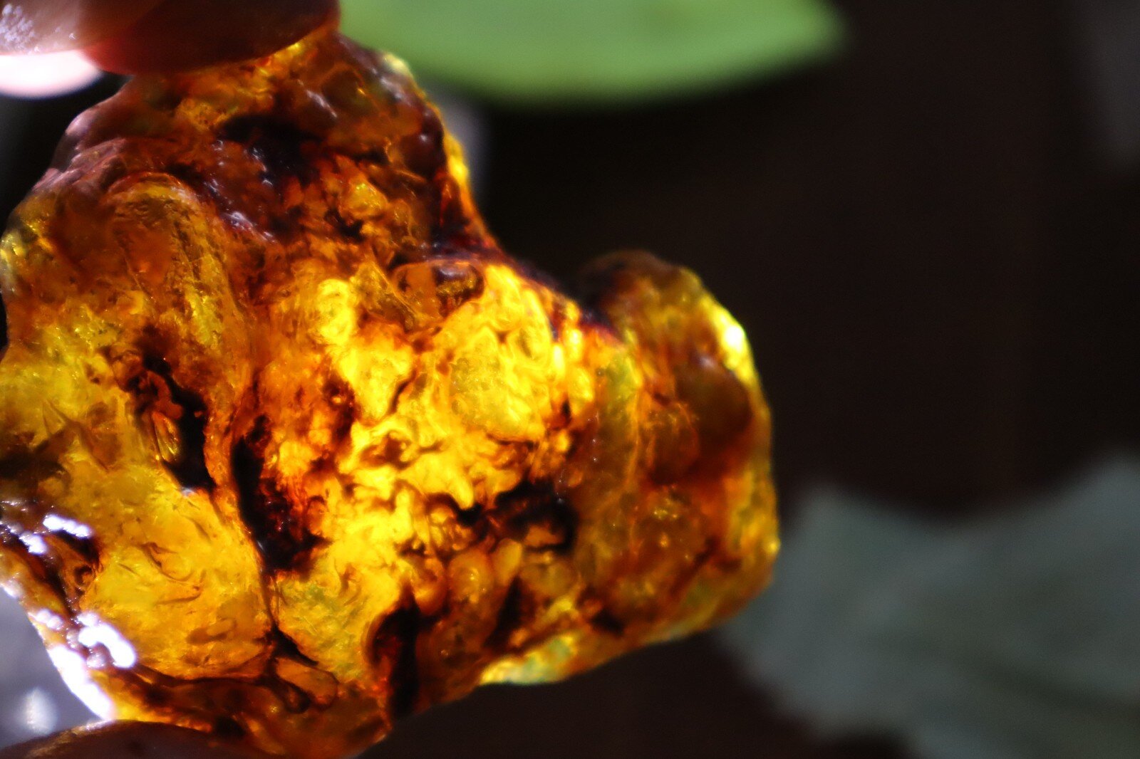 Beautiful Natural Dominican Translucent Green Blue Amber Rough Specimen 66mm 35g – photo 8