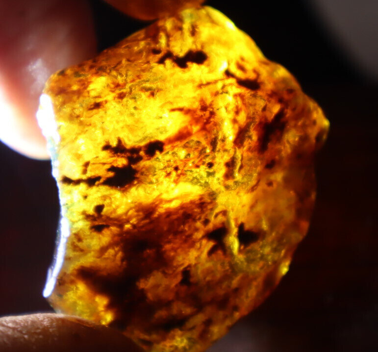 Impressive Nat.Dominican Clear Sky Blue Yellow Amber Rough Specimen 44mm 16.5g – photo 9