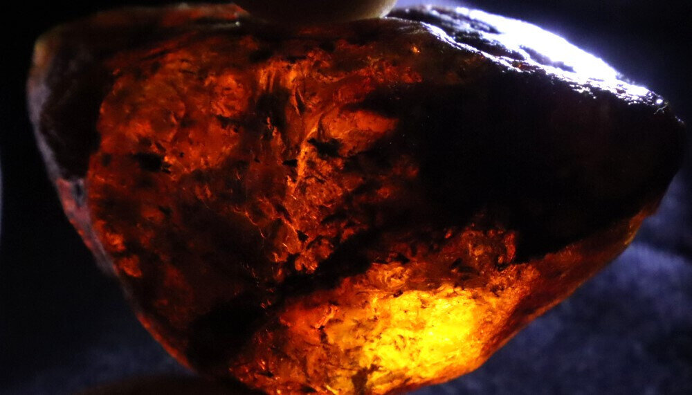 Beautiful Natural Dominican Translucent Green Blue Amber Rough Specimen 54mm 22g – photo 10