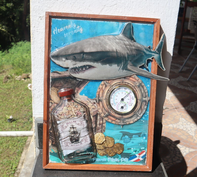 Wood artwork wall decoration Thermometer Hydrometer Shark Oceanic Treasure 12" – photo 11