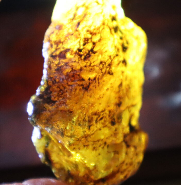 Finest Dominican Crystal Clear Light Blue Yellow Amber Rough Specimen 65mm 38.6g – photo 9