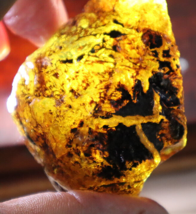 Finest Dominican Crystal Clear Light Blue Yellow Amber Rough Specimen 65mm 38.6g – photo 11
