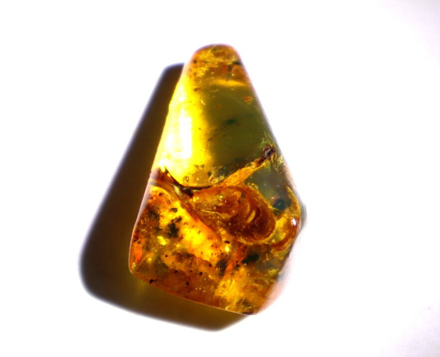 Rarest Natural Dominican Clear Orange Brown Amber Polished Pendant Stone 24mm – photo 10