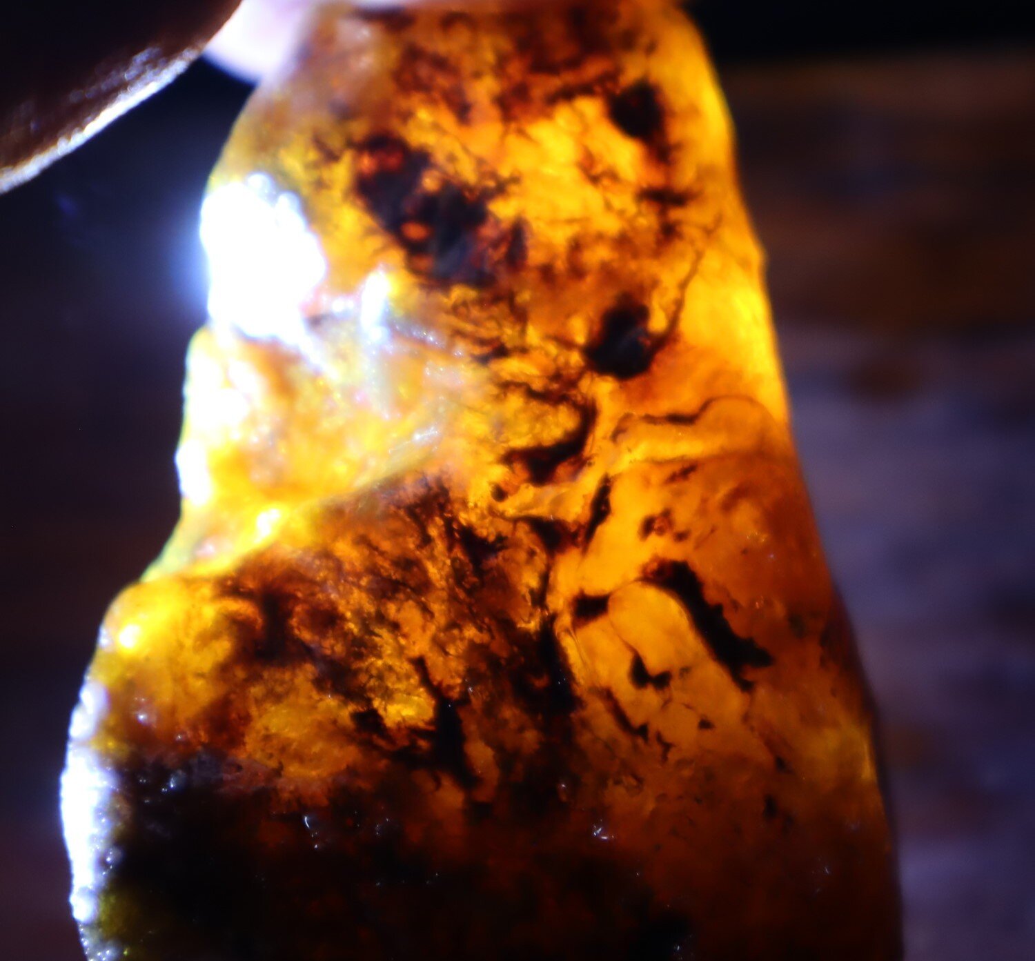 Natural Translucent Yellow Orange Butterscotch Amber Rough Specimen 62mm 34.5g – photo 4