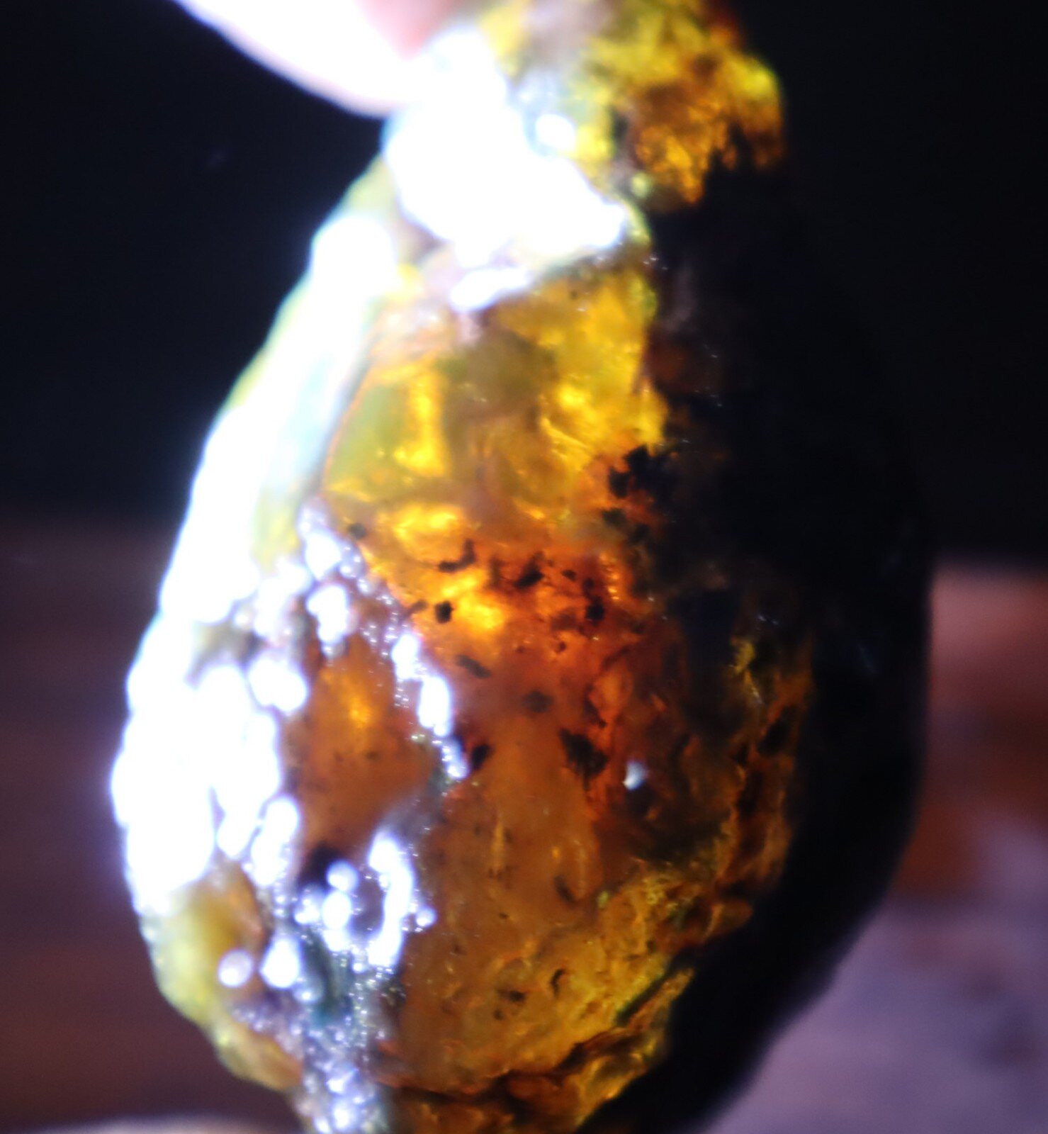 Beautiful Natural Dominican Translucent Green Blue Amber Rough Specimen 61mm 47g – photo 13
