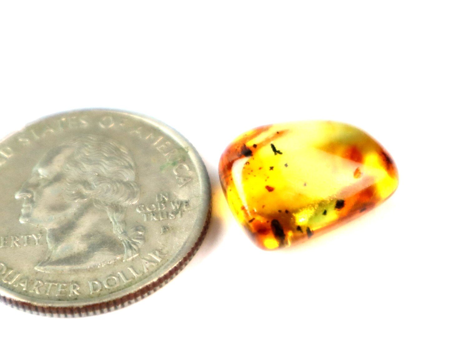 Natural Dominican Amber with Insect Inclusion – Polished Stone | 16mm – photo 4