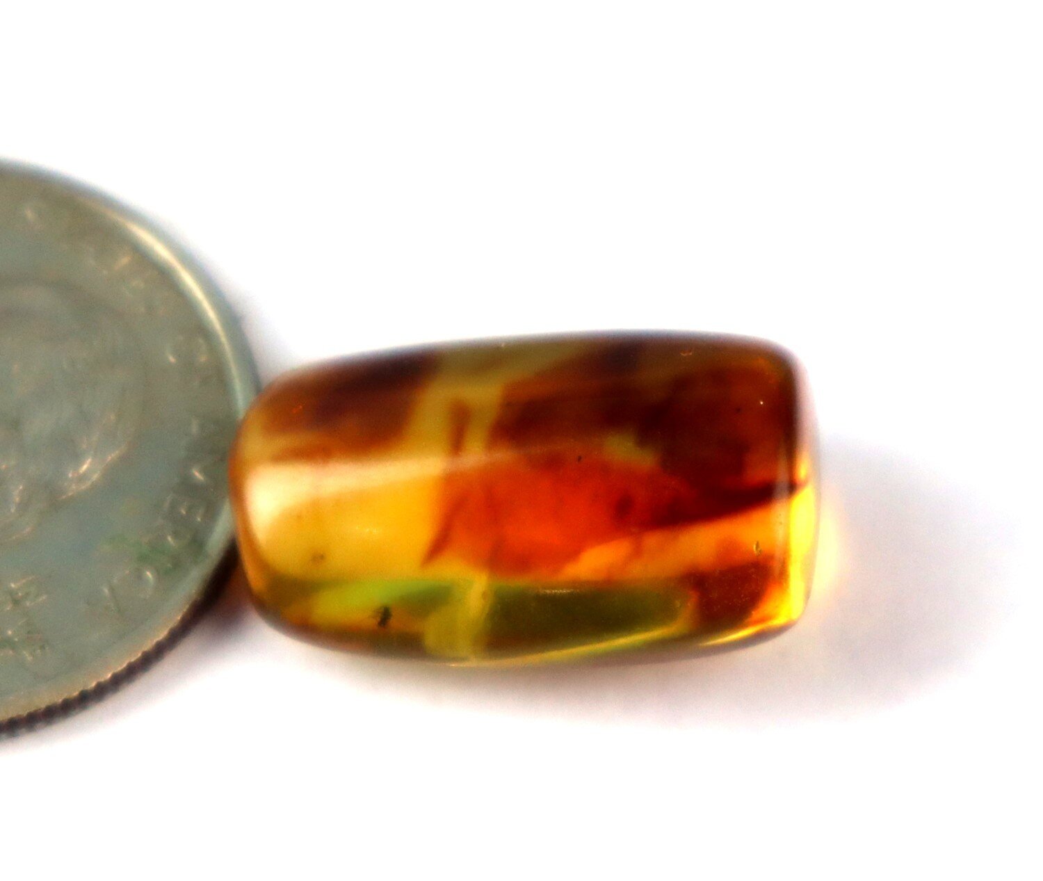 Natural Dominican Clear Amber – with Mosquito/Midge Inclusion (Diptera) | 20mm – photo 4