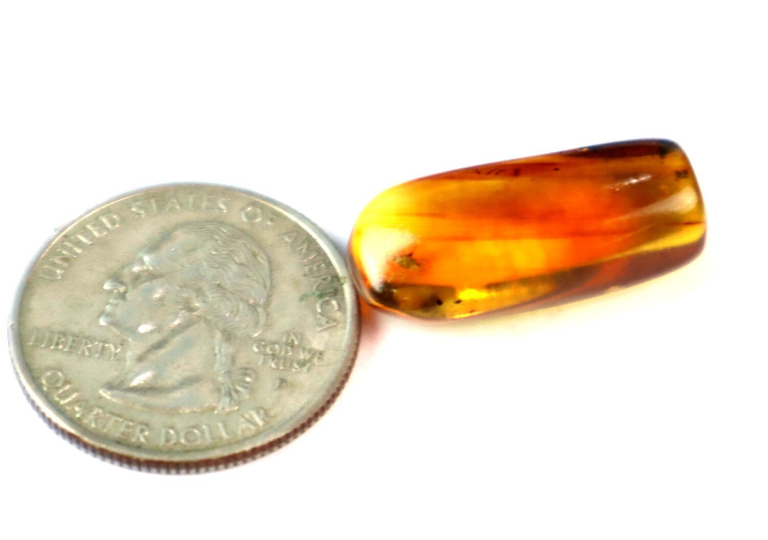 Natural Dominican Amber Polished Stone (24mm) — Fossil Insect Inclusion – photo 4