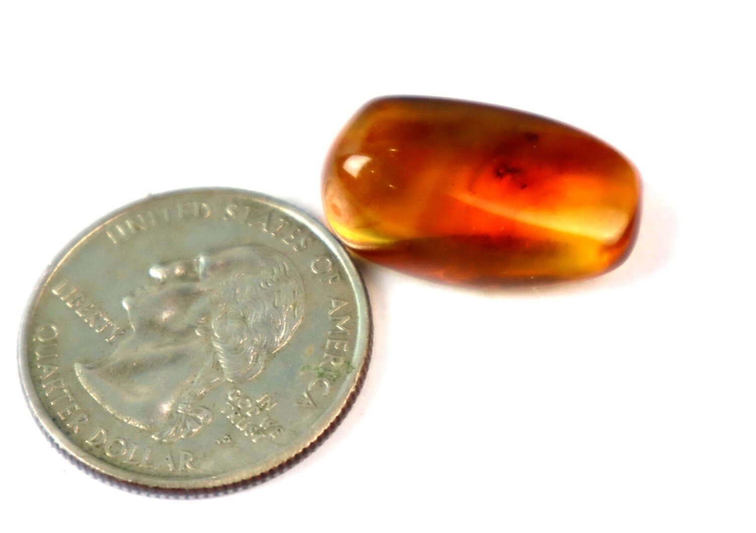 Natural Dominican Clear Amber – Polished with Double Insect Inclusion | 22mm – photo 8