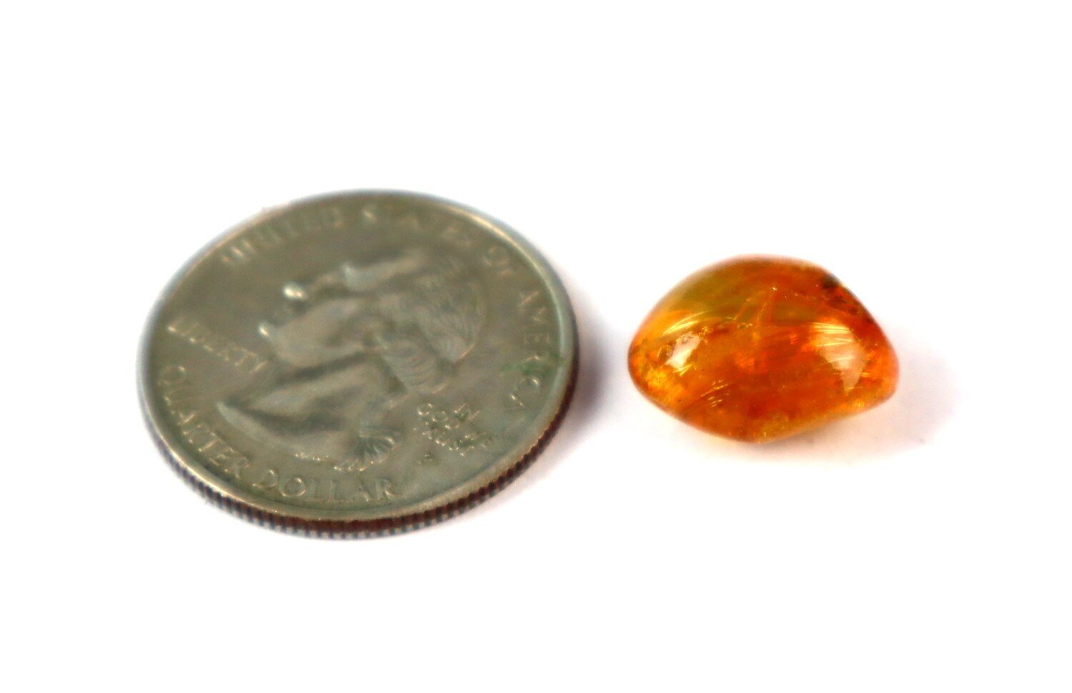 Natural Dominican Clear Amber with Hymenoptera Inclusion (Wasp/Bee Type) | 14mm – photo 4