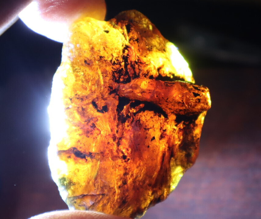Exquisite Natural Dominican Clear Sky Blue Amber Rough Specimen 48mm 13.7g – photo 9