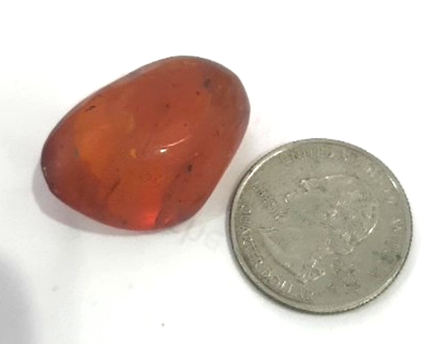Natural Dominican Amber with Insect Inclusion 30mm – photo 3