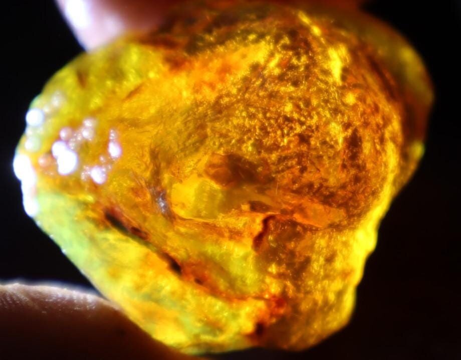 Impressive Natural Dominican Crystal Clear Green Blue Amber Rough Specimen 45mm – photo 5