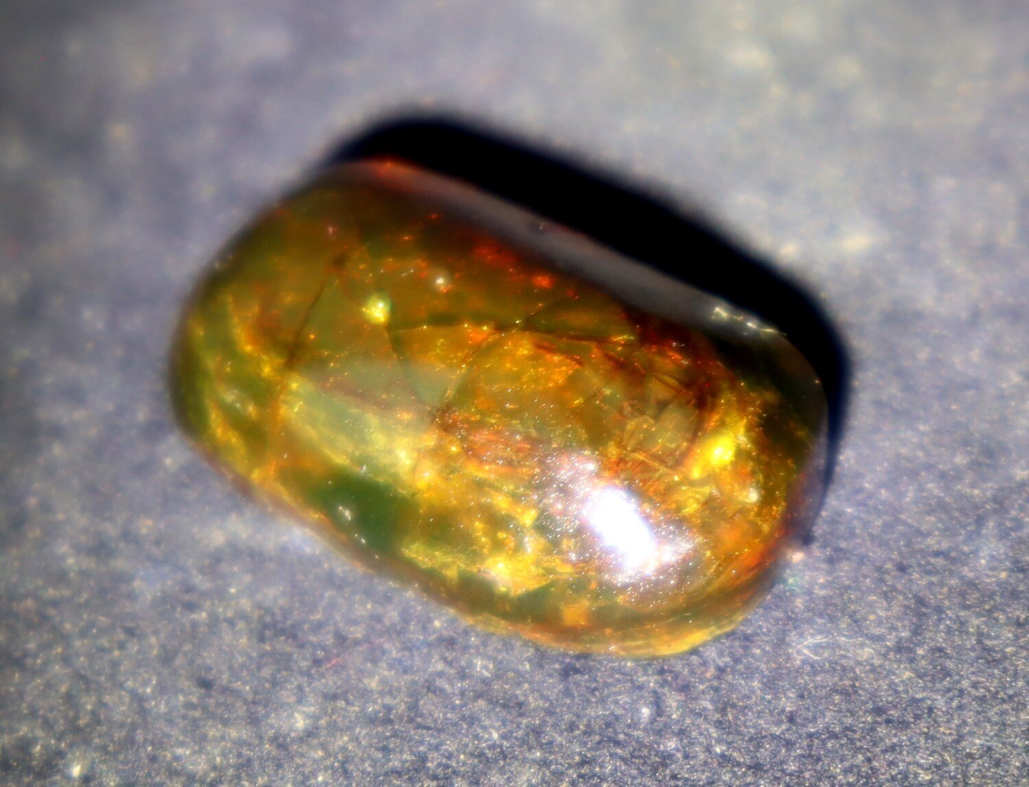 Natural Dominican Translucent Green Yellow Amber Polished Cabochon 23mm – photo 5