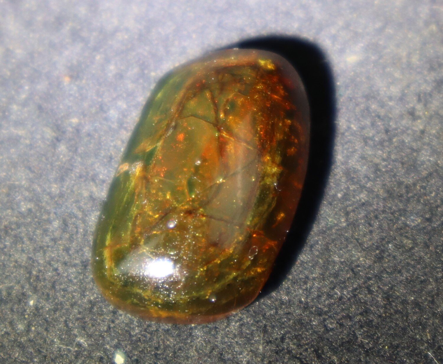 Natural Dominican Translucent Green Yellow Amber Polished Cabochon 23mm – photo 8