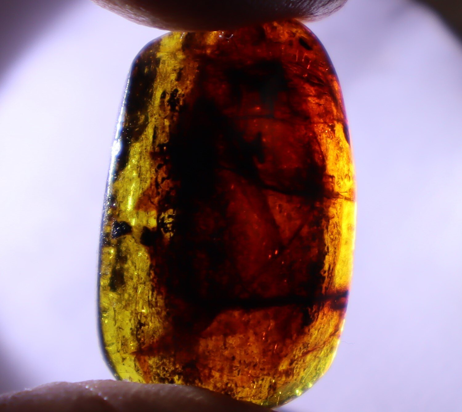 Natural Dominican Translucent Green Yellow Amber Polished Cabochon 23mm – photo 10