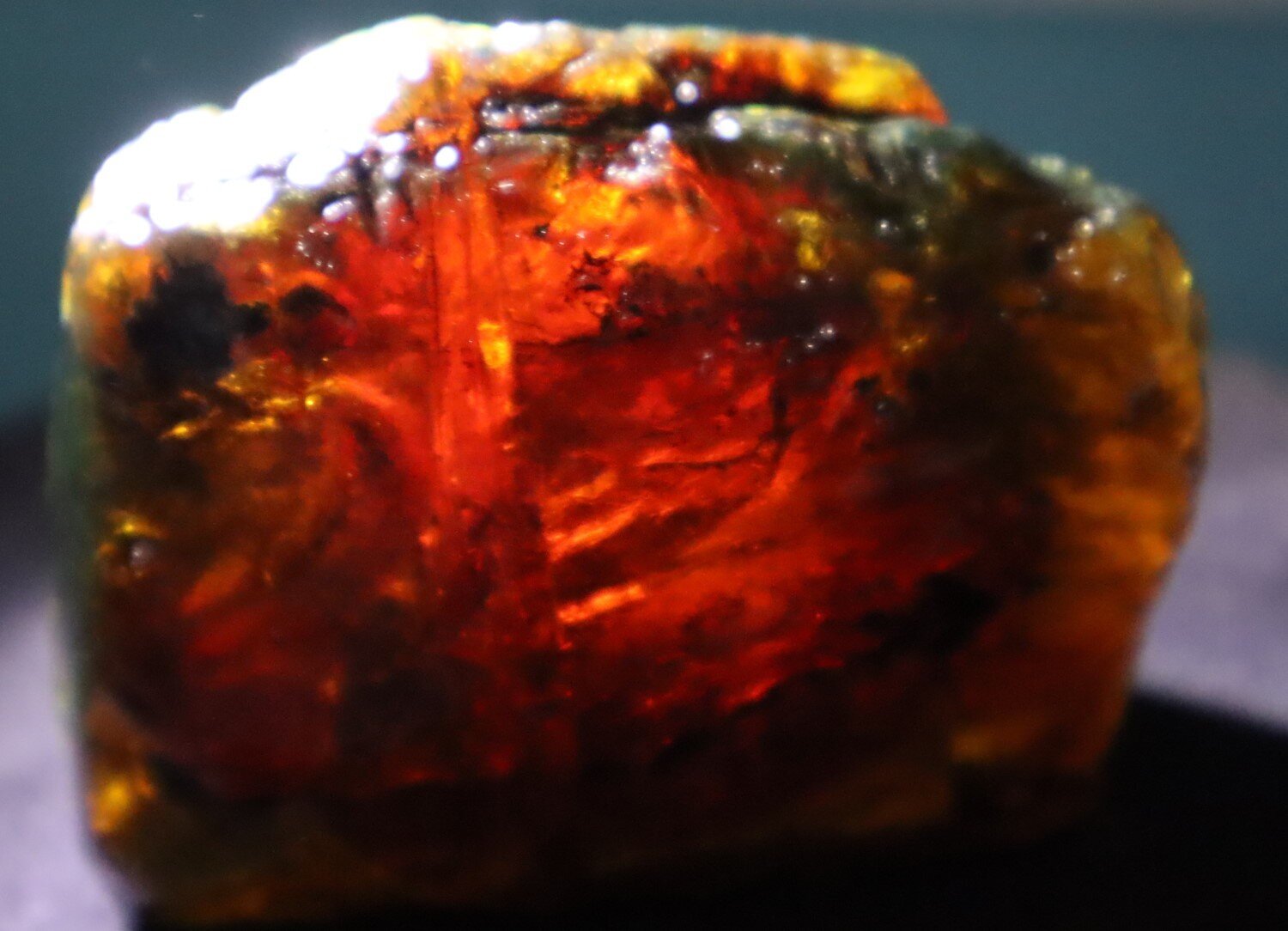 Natural Dominican Translucent Cognac Green Amber Rough Specimen 61mm 73.3g – photo 6