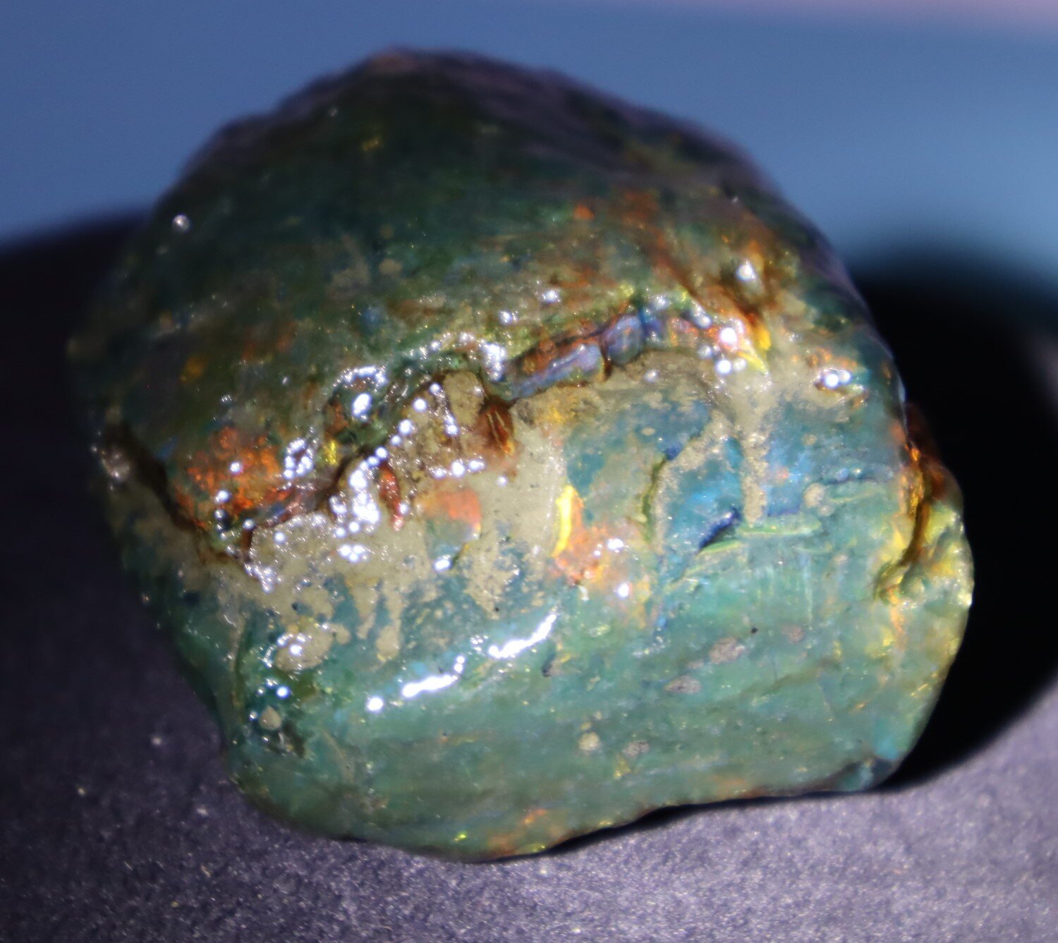 Natural Dominican Translucent Cognac Green Amber Rough Specimen 61mm 73.3g – photo 11