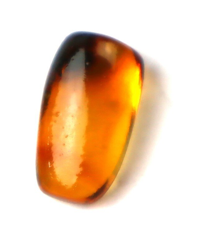 Premium Dominican Amber with Botanical Inclusion – photo 10
